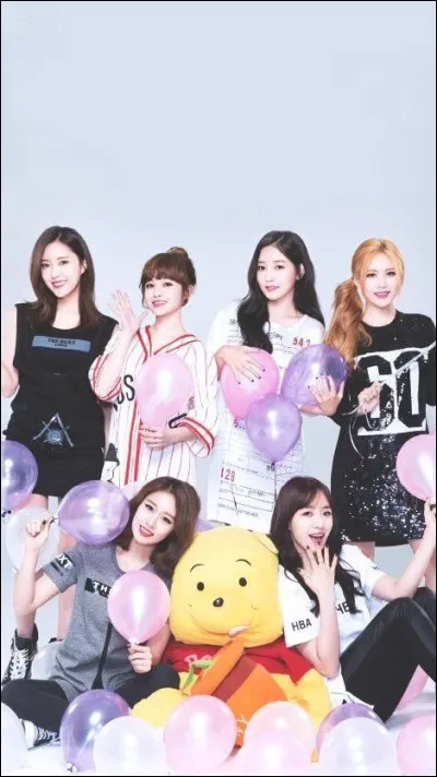 À quel groupe appartiennent ces membres ?