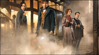 La plupart des sorciers qui se croient supérieurs aux autres appellent les sorciers Nés-Moldus des "Sang-de-Bourbe".