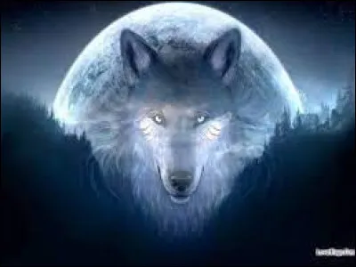 Dans les "Trois petits cochons", comment le loup détruit-il les deux premières maisons ?