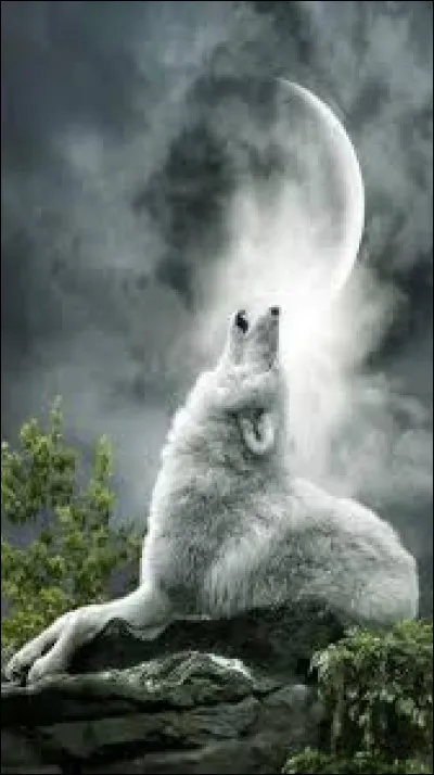 Quel est le nom du loup dans "Le Livre de la jungle" ?