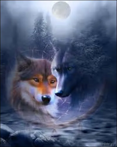 Qui a composé le conte musical "Pierre et le loup" ?