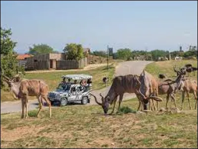 Je vous propose un moment de détente au safari parc de Peaugres. Ville de l'arrondissement de Tournon-sur-Rhône, elle se situe dans le département ...