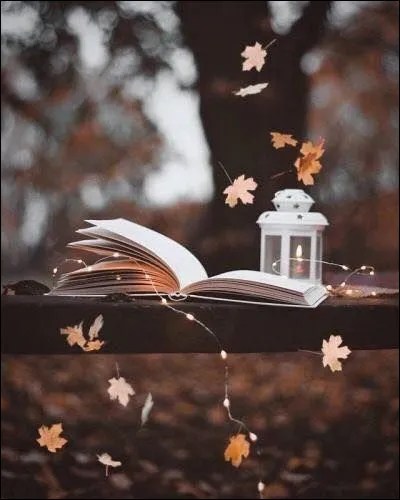 Je suis assez fan des "polars" de Georges Simenon ! Aidez-moi à retrouver son roman ?