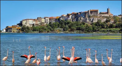 Voici un village méconnu des touristes, ce qui accentue encore le plaisir de venir flâner dans ses ruelles étroites bordées par des maisons antiques tout en pierres, au bord de l'étang où se côtoient vieilles barques de pêche et flamants roses. Pas très loin de l'étang de Sigean. Dans quel département se trouve Bages ?