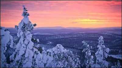 De quand date le premier prix Nobel de littérature finlandais ?