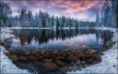 Quel groupe finlandais a composé "Steel" ?