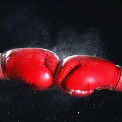 Lequel de ces boxeurs français a été champion olympique des mi-mouches ?