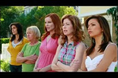 Parmi ces desperate, laquelle n'a jamais eu de gros travaux dans sa maison ?