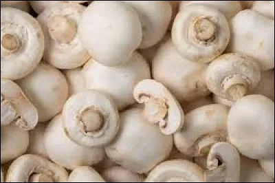 Biologiquement, le champignon est...