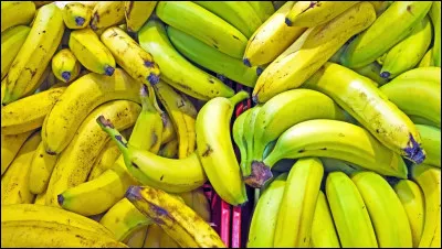 Laquelle des bananes est sucrée ?