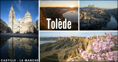 La cathédrale Sainte-Marie de Tolède, cathédrale bâtie en style gothique à compter de 1226, domine la ville impériale de sa haute flèche. Dans quel pays ?