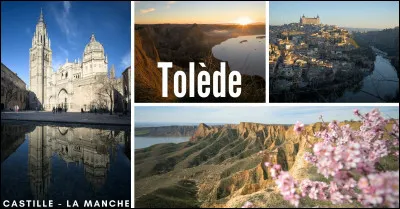 La cath&eacute;drale Sainte-Marie de Tol&egrave;de, cath&eacute;drale b&acirc;tie en style gothique &agrave; compter de 1226, domine la ville imp&eacute;riale de sa haute fl&egrave;che. Dans quel pays ?