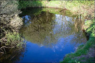 Où se jette le Shannon, fleuve irlandais ?
