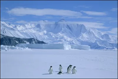 Quel est le nom du territoire français présent en Antarctique ?