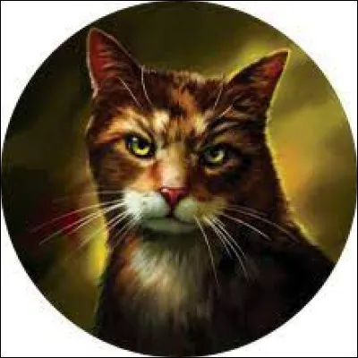 À combien d'endroits des guérisseurs se sont déjà retrouvés ?