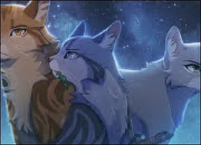 Que font-ils à la Source de Lune ?