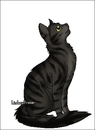 Et quel est son nom ?