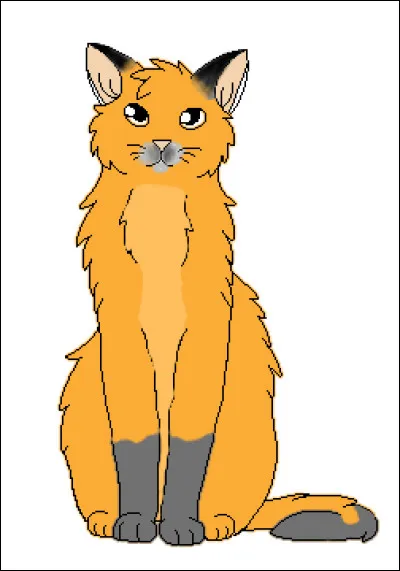 Quelles sont les règles du Code du Guérisseur ?