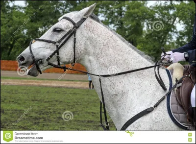 Laquelle de ces robes existe vraiment ?