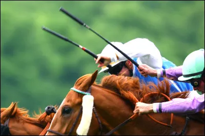 À main gauche, de quel côté mets-tu ta cravache ?
