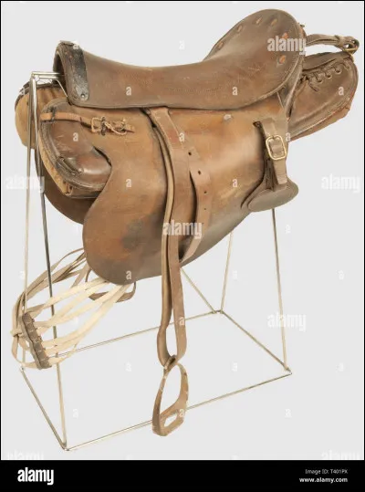 Pourquoi ne montons-nous pas souvent en mettant le pied à l'étrier directement ?