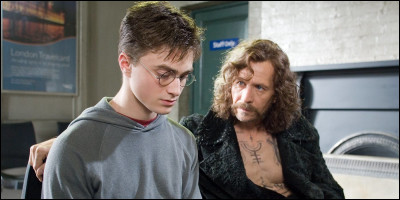 N°6 - Sirius Black : 
De quel sang est Sirius ?