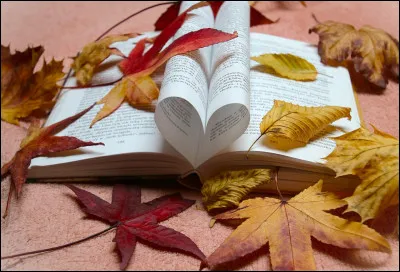 De qui sont les vers "Il pleure dans mon cur comme il pleut sur la ville" ?