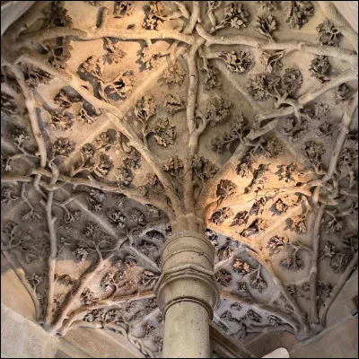 Qu'est-ce qui te fait le plus peur ?