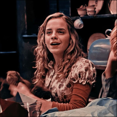 Dans quel film voyons-nous Hermione ainsi ?