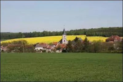 Village de l'ancienne région Lorraine, Dainville-Bertheléville se situe dans le département ...