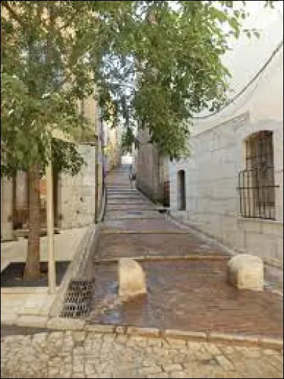 Capitale de la Provence Verte, Brignoles est une sous-prfecture du ...