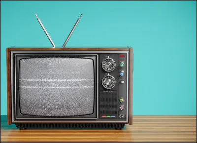 Dans quelle série des années 60 le jeune Bud est-il l'ami de l'animal vedette ?