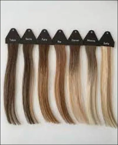 Quelle est la couleur de tes cheveux ?