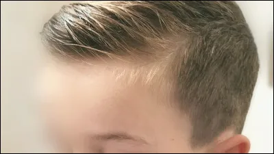 (Pour les garçons) - Tu as les cheveux :