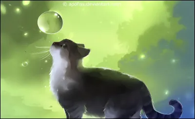 Tempête de Sable s'appelait Nuage Sablonneux, étant une apprentie :