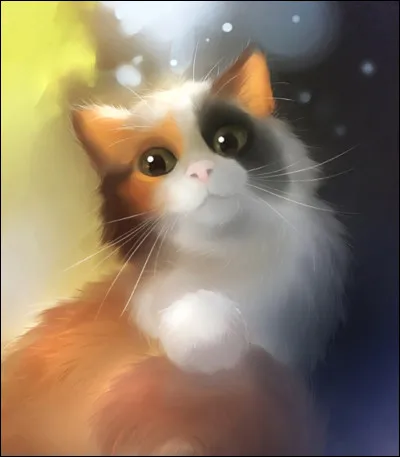 La tribu est à l'origine des clans :