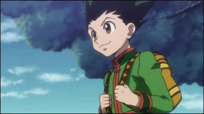 Il est le protagoniste principal de la série Hunter × Hunter, il a décidé de devenir un Hunter dans le but de retrouver son père. Qui est-il ?