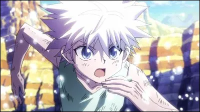 Ce personnage est l'un des quatre protagonistes. Il est le troisième enfant de la Famille Zoldik. Quel est son nom ?