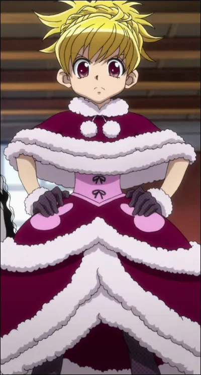 Cette fille est une Hunter professionnelle. Elle agit en tant que tutrice dans lapprentissage du Nen pour Gon et Kirua. Quel est son nom ?