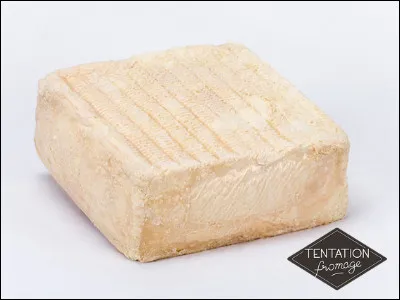 Gastronomie : À partir du lait de quel animal est fait le vieux-lille ?