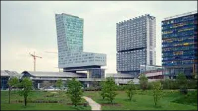 Culture : Quel plat est à l'honneur lors d'un festival international qui a lieu chaque 1er mai à Lille ?