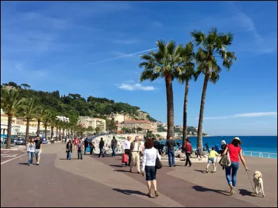 Ville : Comment s'appelle cette promenade très célèbre à Nice ?