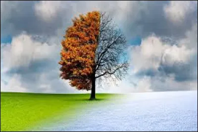 Quelle est ta saison préférée ?