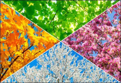 Quelle est la saison que tu aimes le moins ?