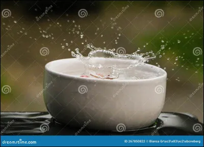 Quelle région du monde a souvent le record mondial de pluie ?