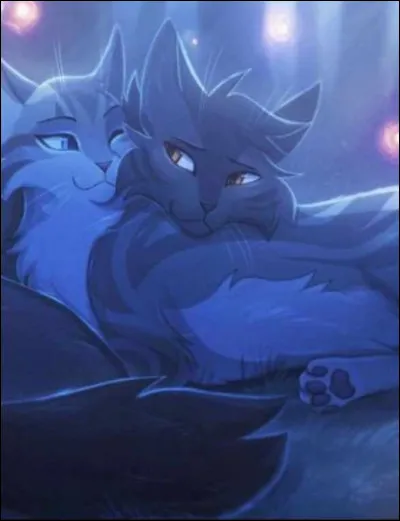 Aimerais-tu avoir des chatons ?