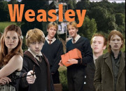 Test  quel enfant Weasley ressembles-tu le plus ?