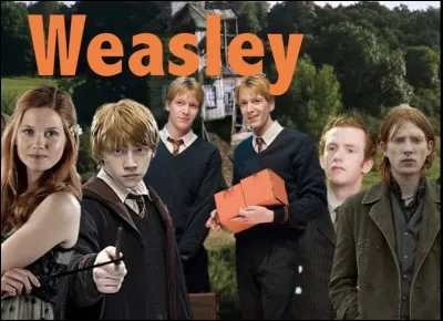 Et enfin, à quel enfant Weasley penses-tu ressembler le plus ?
