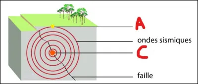 Que devrait-il être marqué à la place des lettres A et C ?