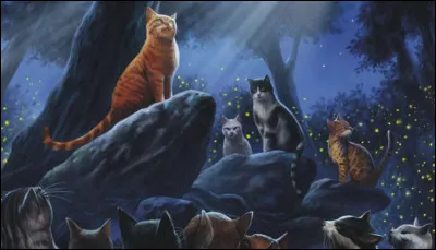 Cependant, à la surprise de tous, l'incident ne se reproduit pas et tu es nommé(e) apprenti(e) sous le nom de : Nuage de Moineau.
Un jour, lorsque tu te balades dans la forêt, tu vois au loin un chat et tu sens de l'admiration monter en toi ; ce chat est :